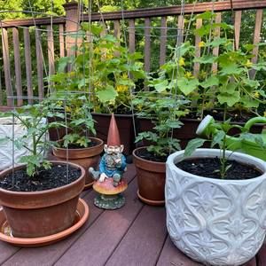 Meet your Posher, Cindy